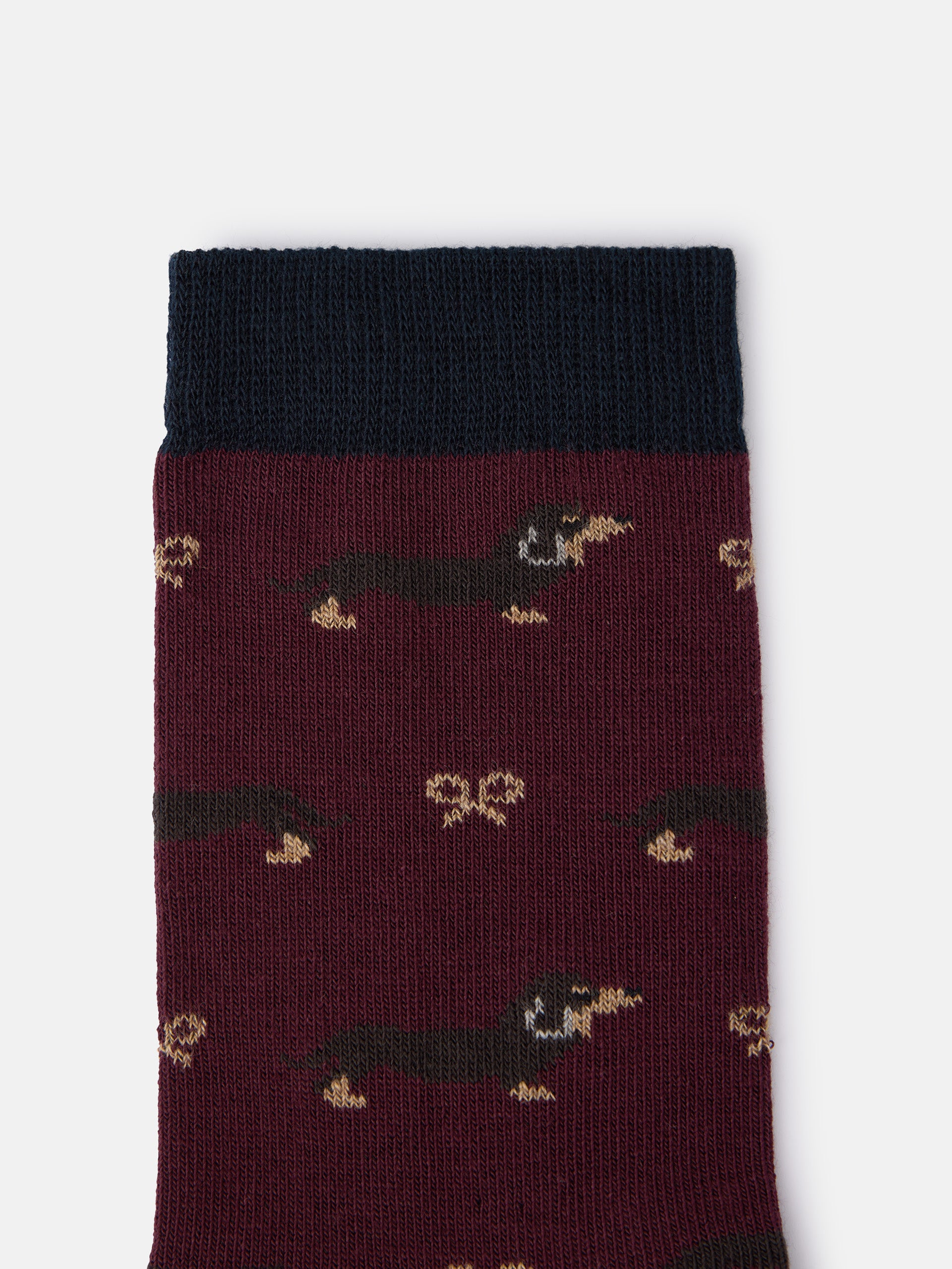 Burgundy silbon doggy kids socks