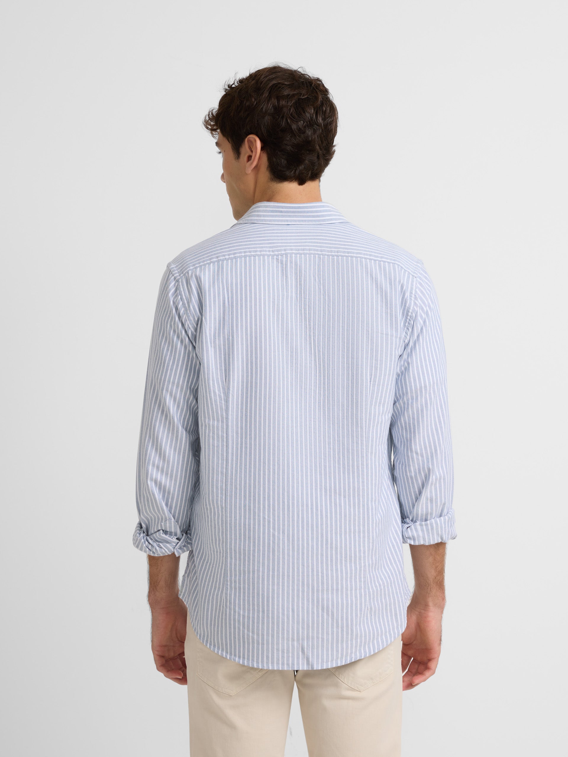 Oxford sport shirt with wide blue stripes