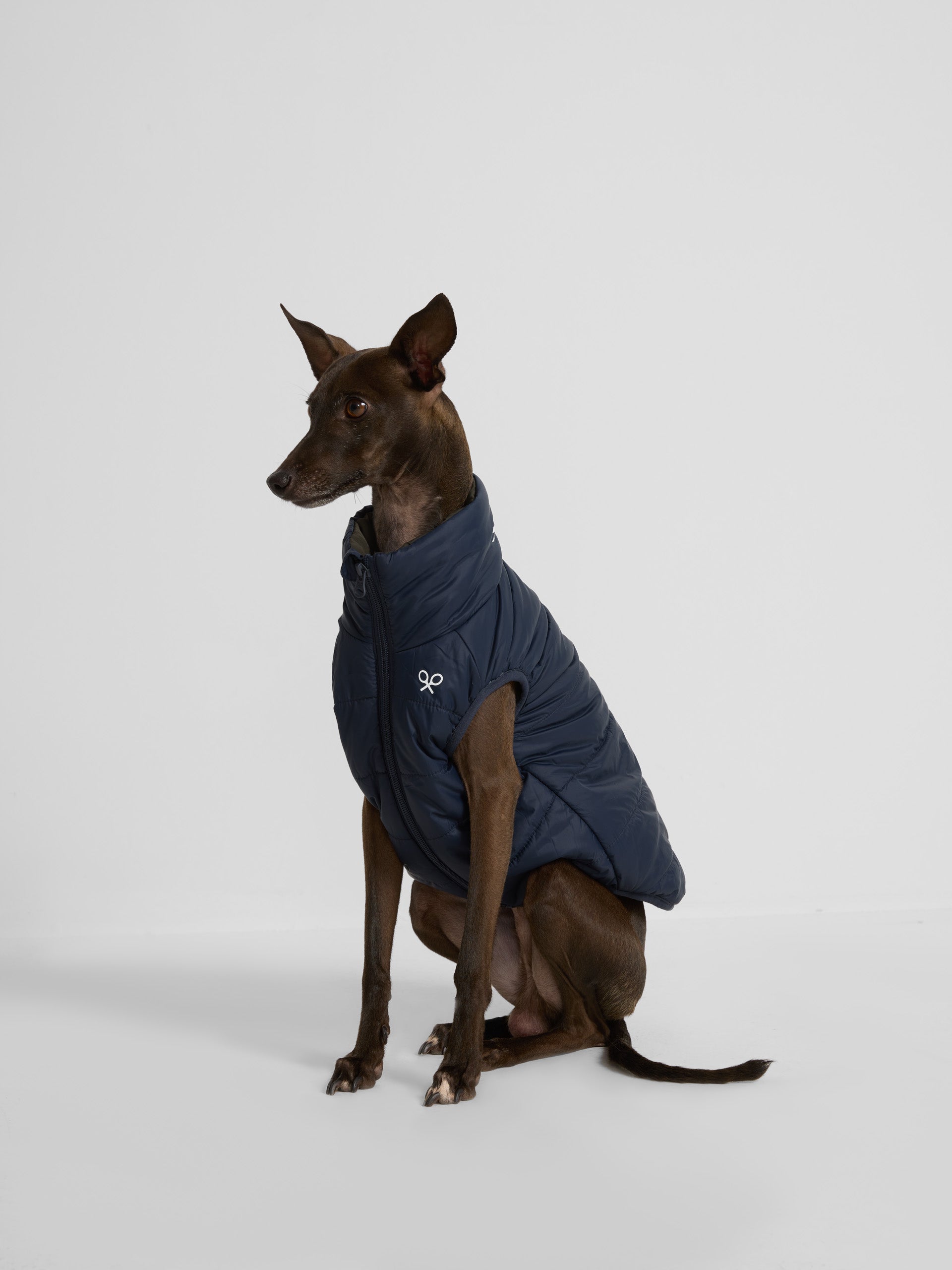 Reversible blue-green pet coat