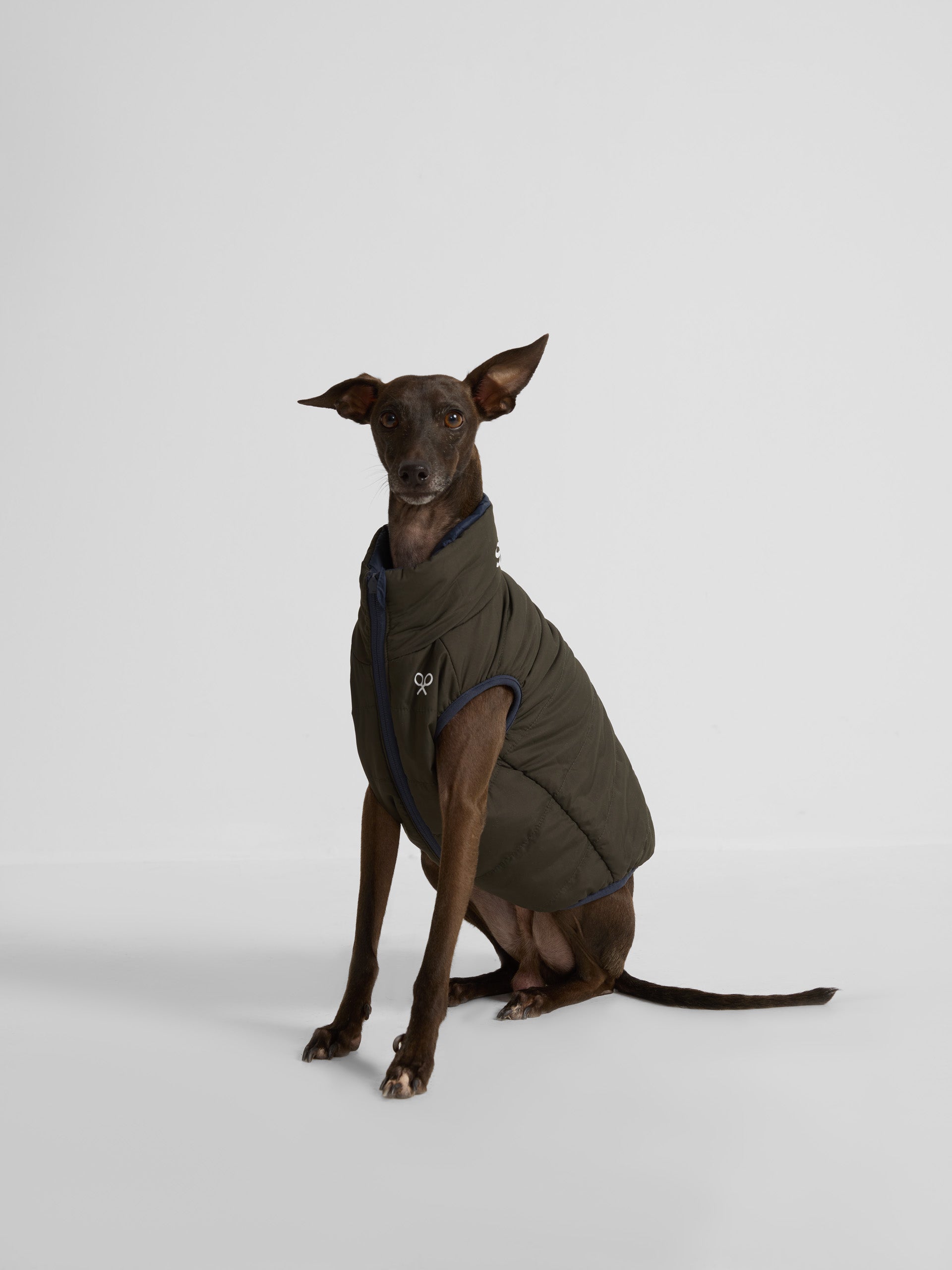 Reversible blue-green pet coat