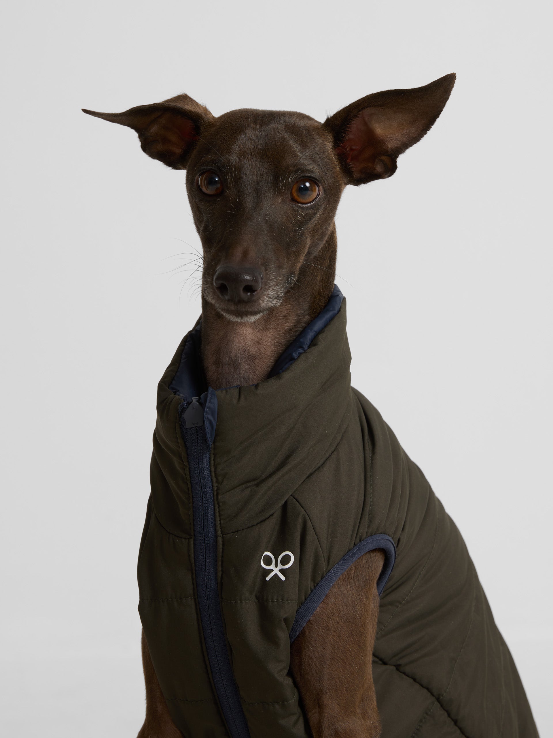 Reversible blue-green pet coat