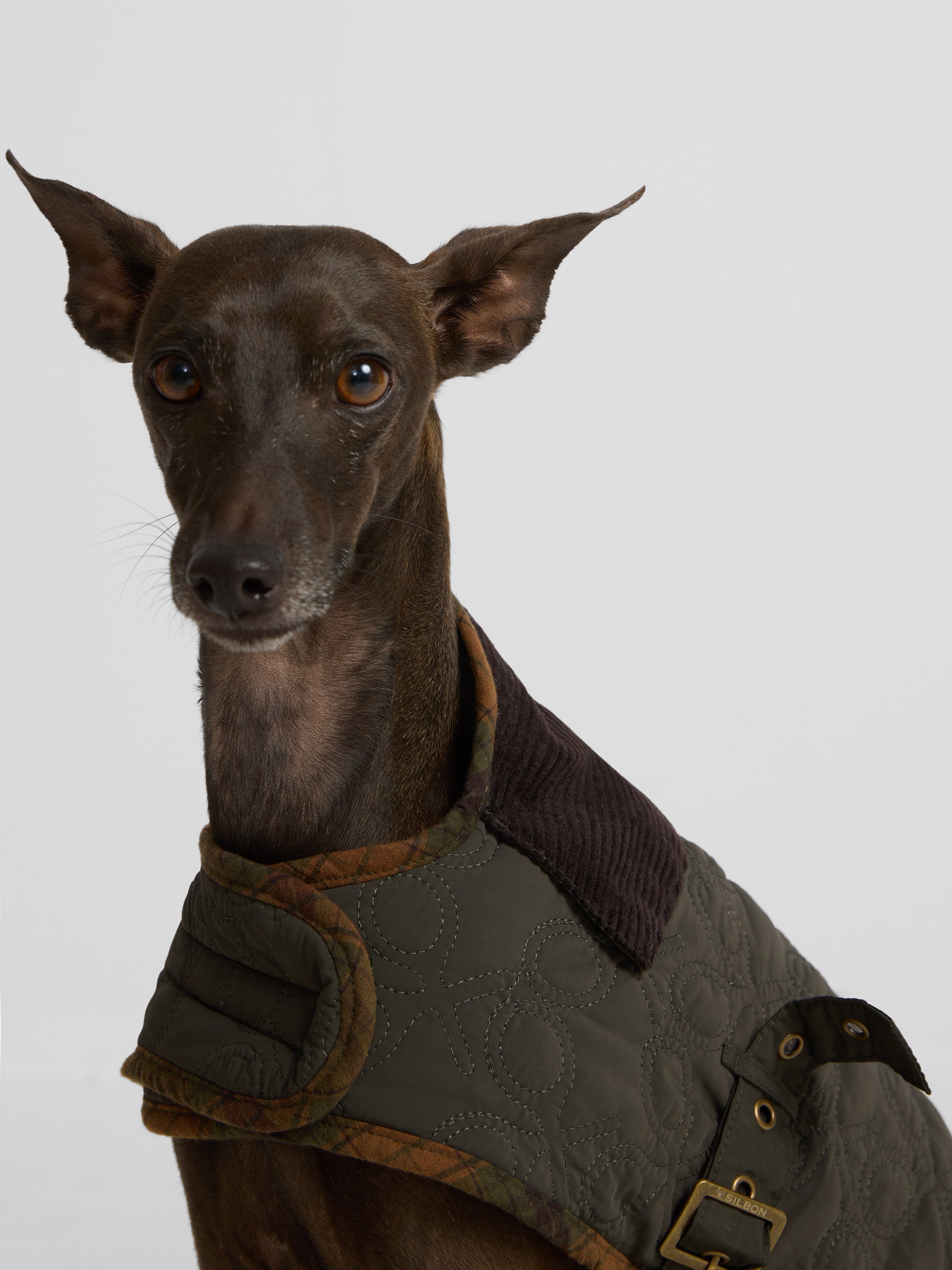 Green padded pet coat