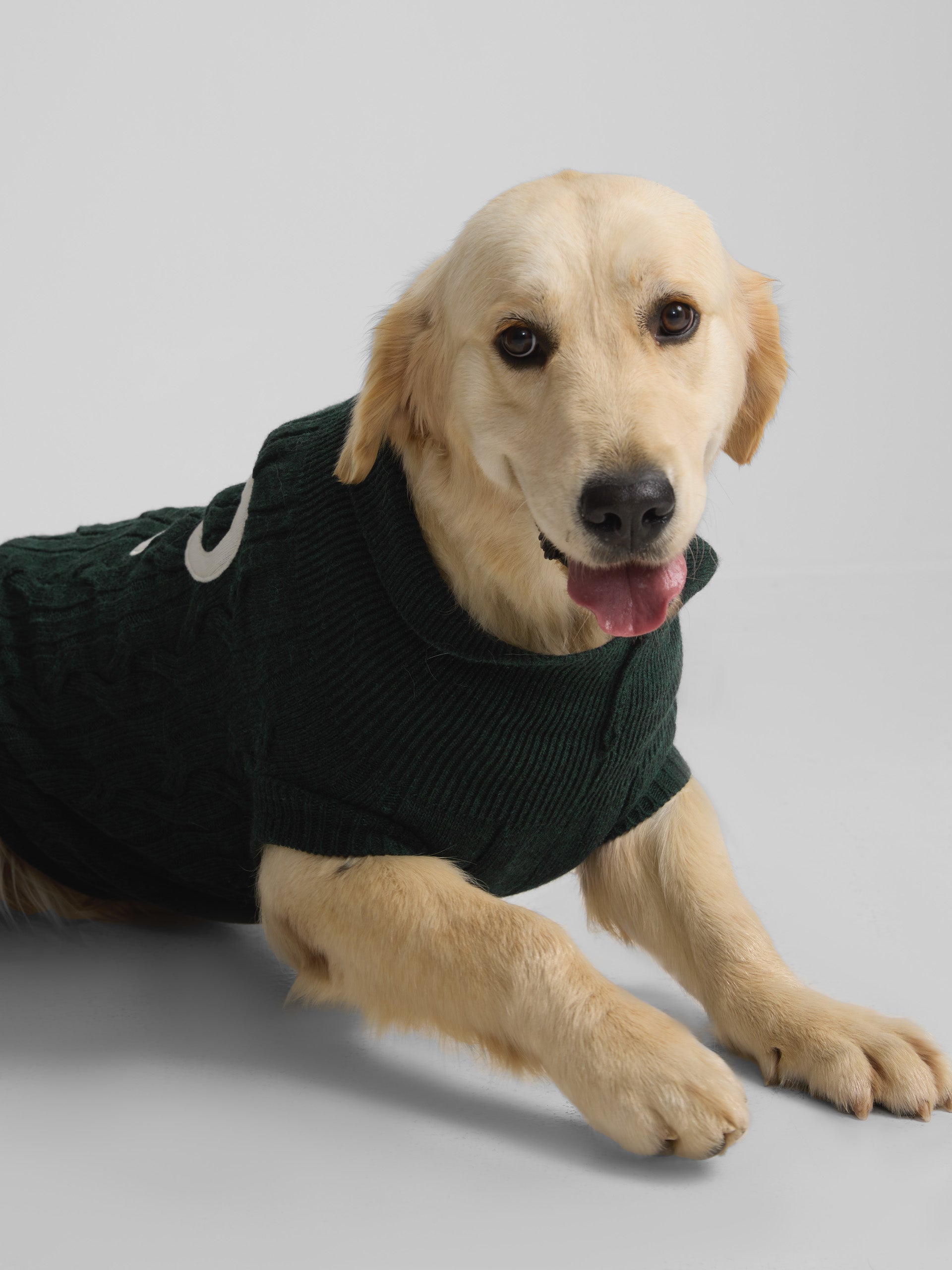 Green turtleneck pet jersey