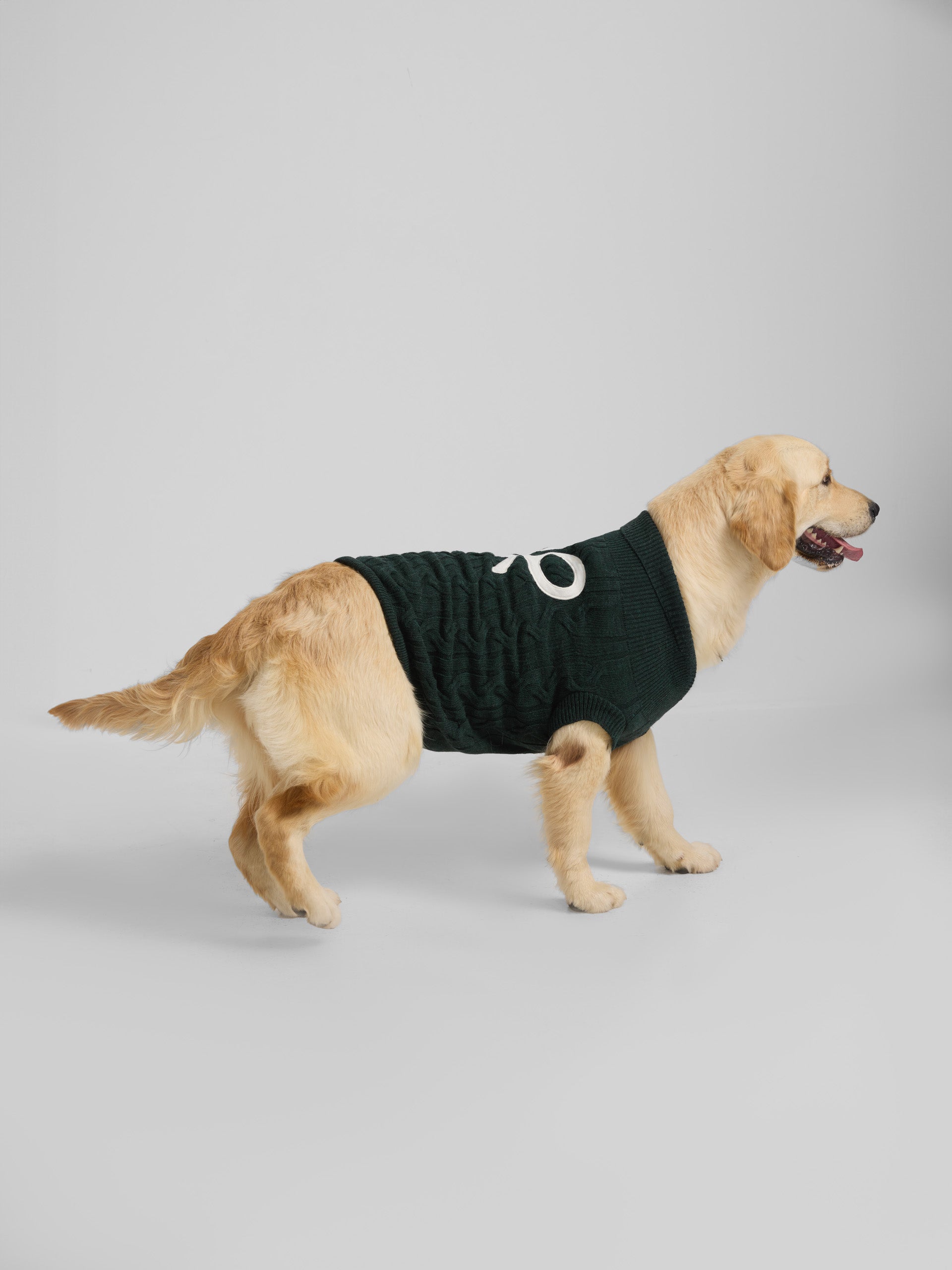 Green turtleneck pet jersey