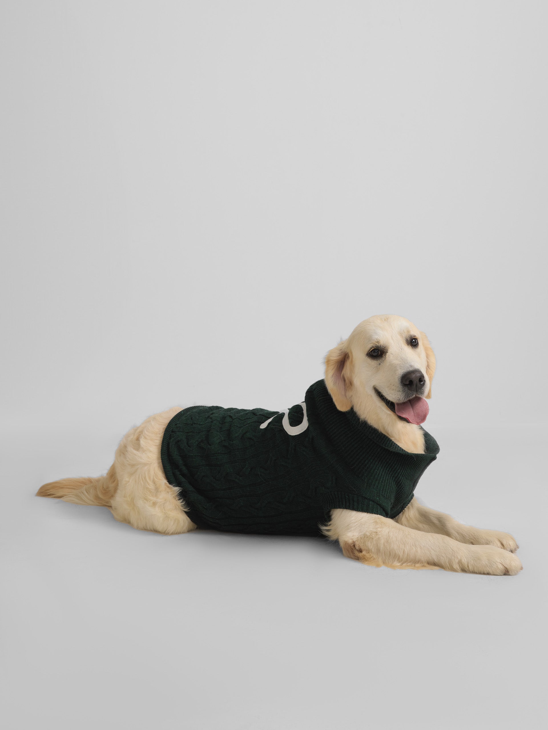 Green turtleneck pet jersey