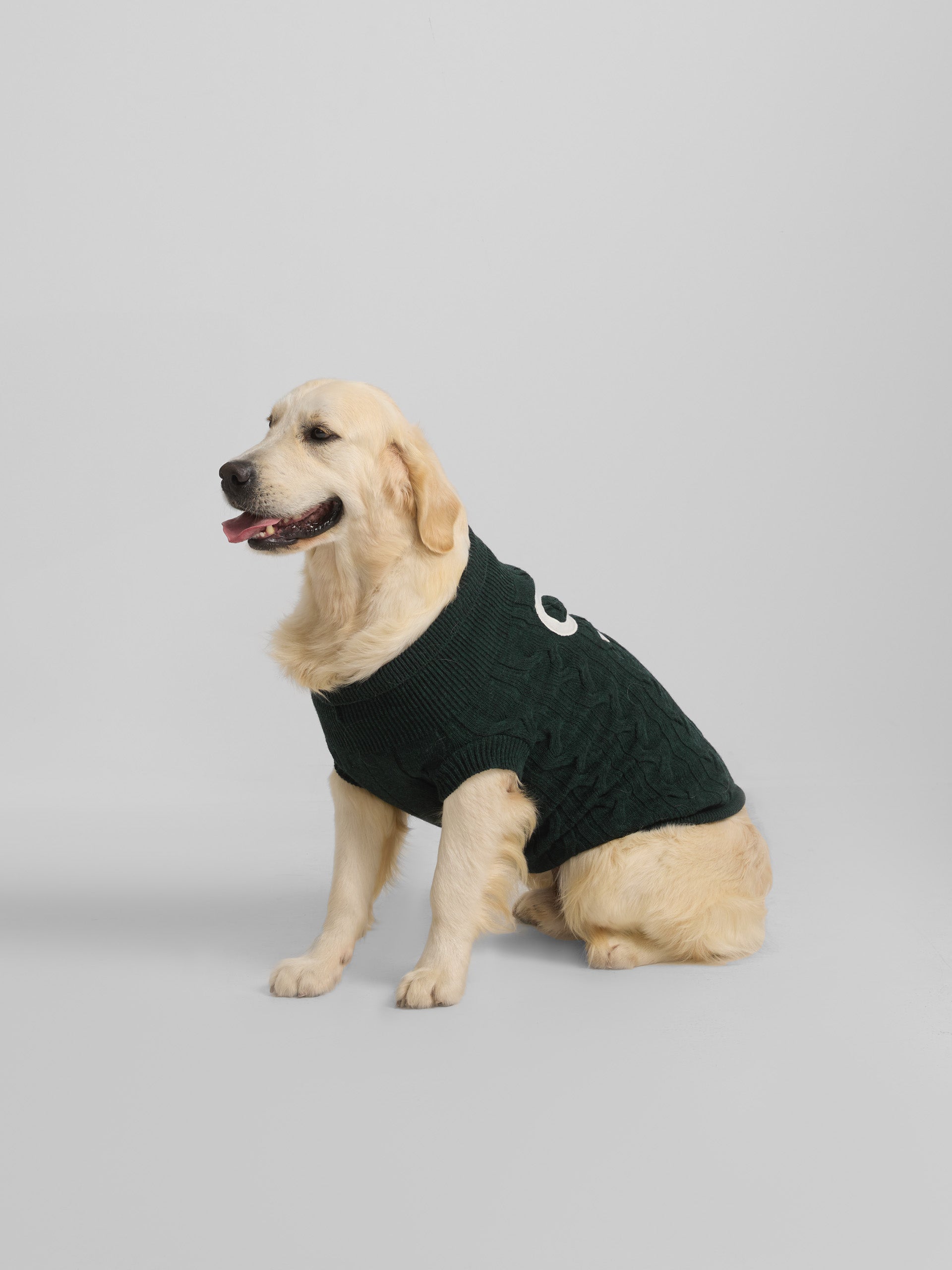 Green turtleneck pet jersey