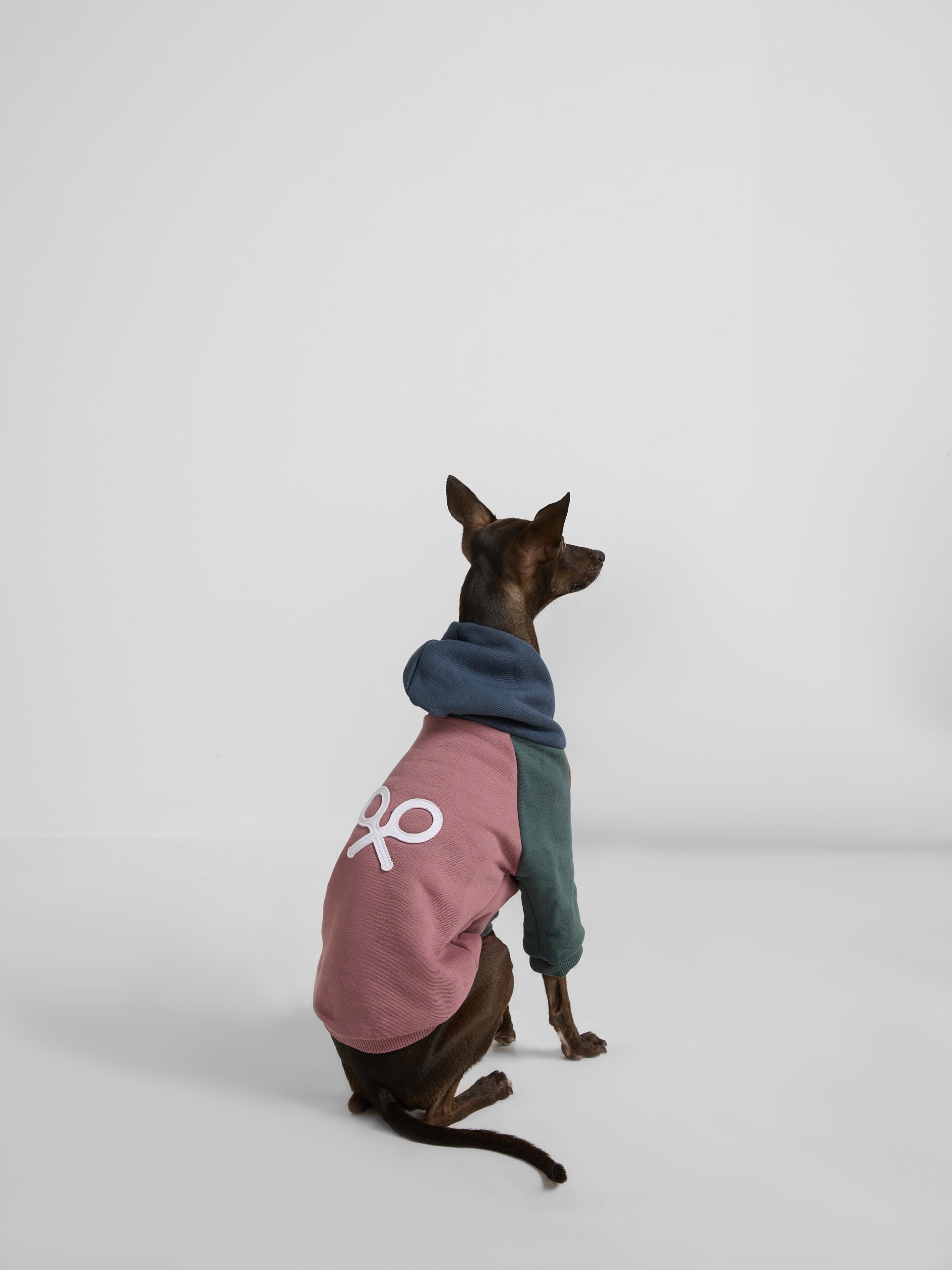 Sudadera mascotas hoodie multicolor burdeos