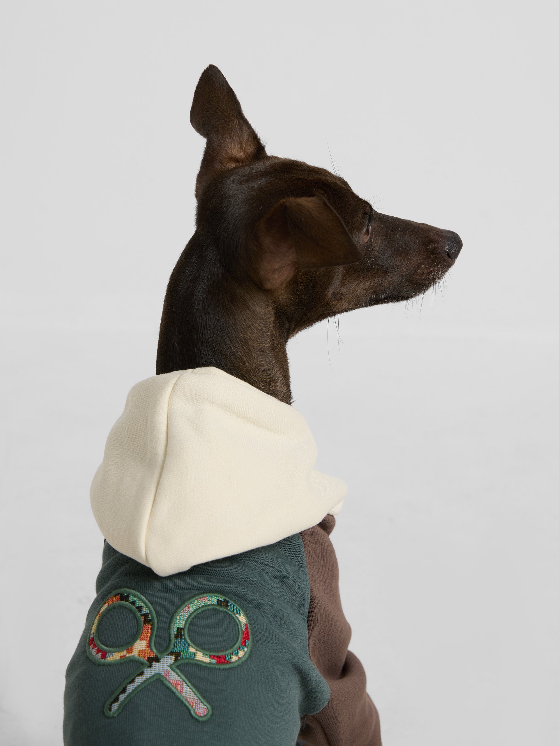 Sudadera mascotas hoodie multicolor verde