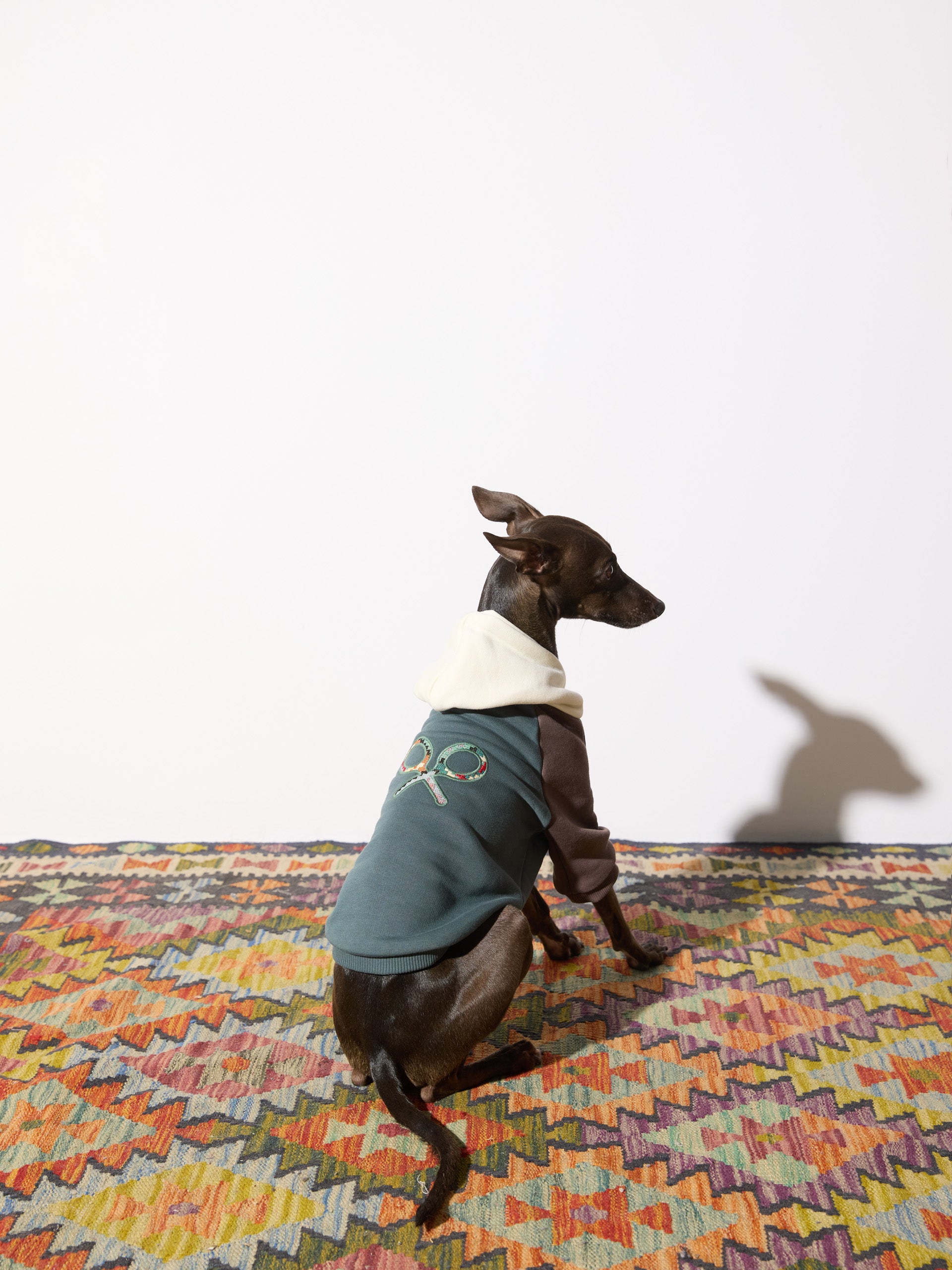 Sudadera mascotas hoodie multicolor verde