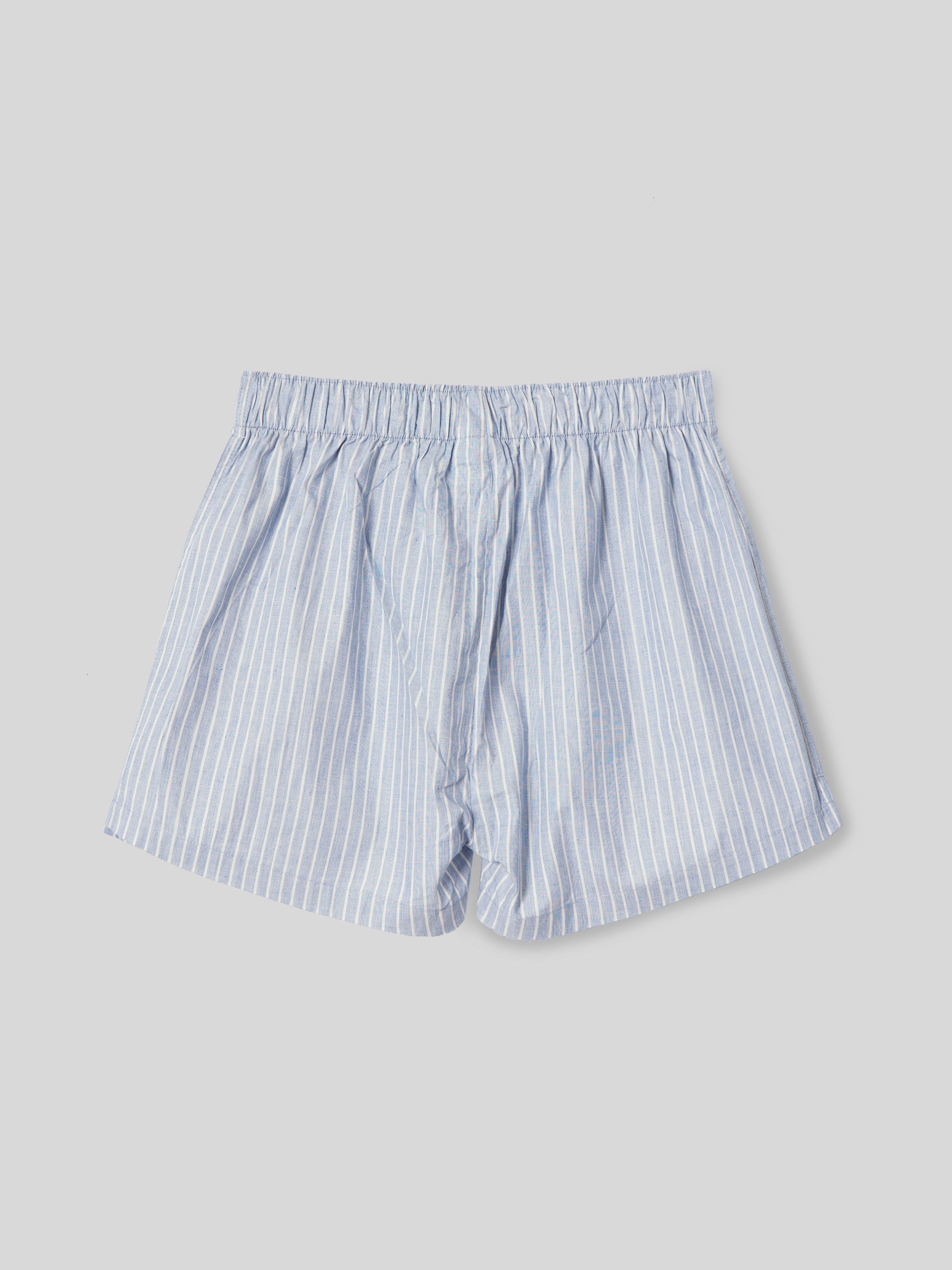 Light blue striped silbon briefs